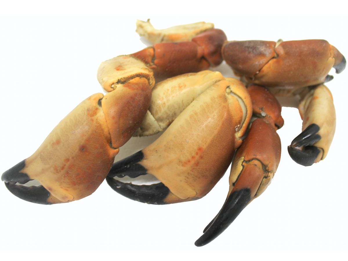 Hebridean Whole Crab Claws 500g